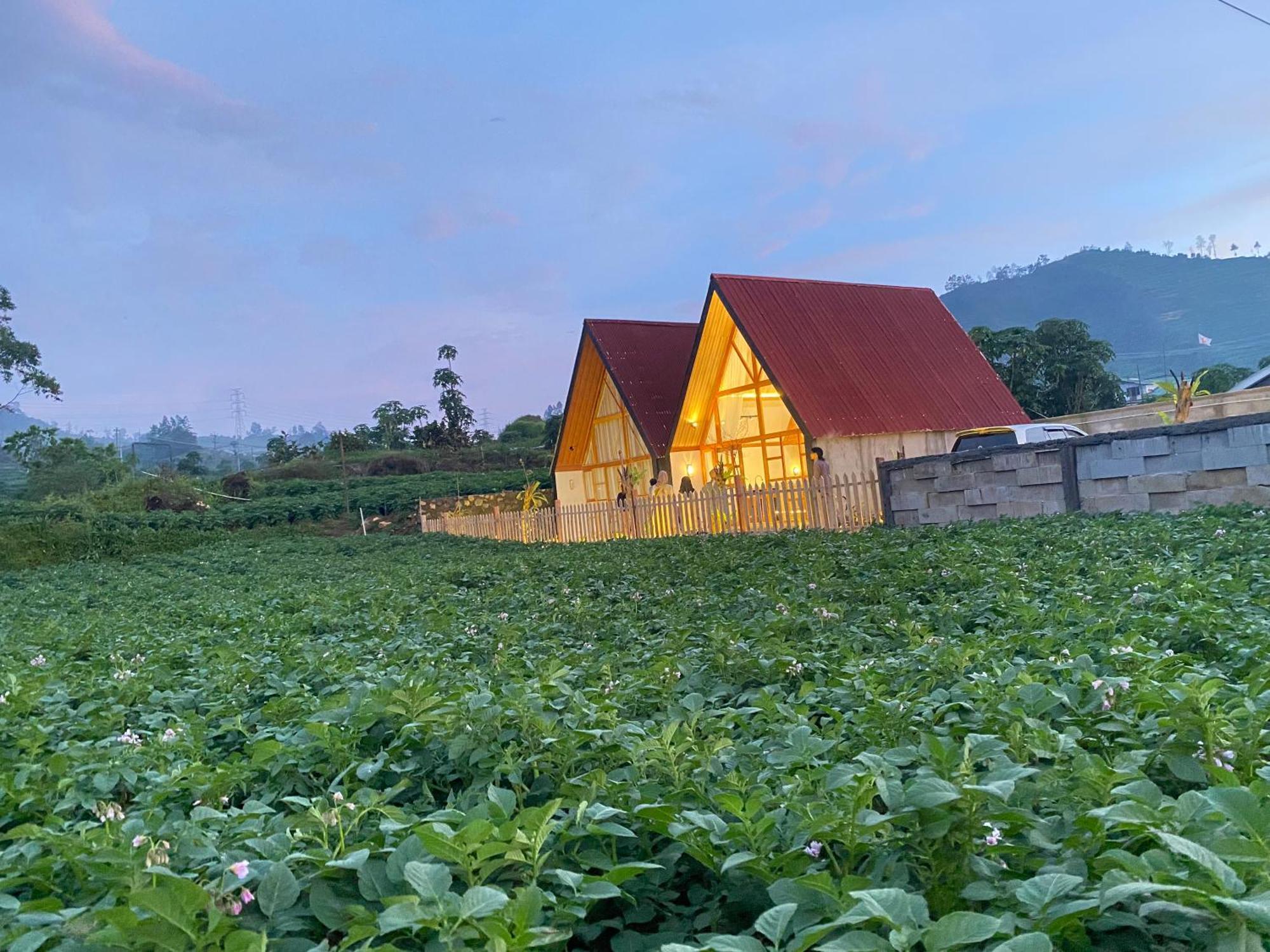 Martos Villa Dieng Diyeng Exterior foto